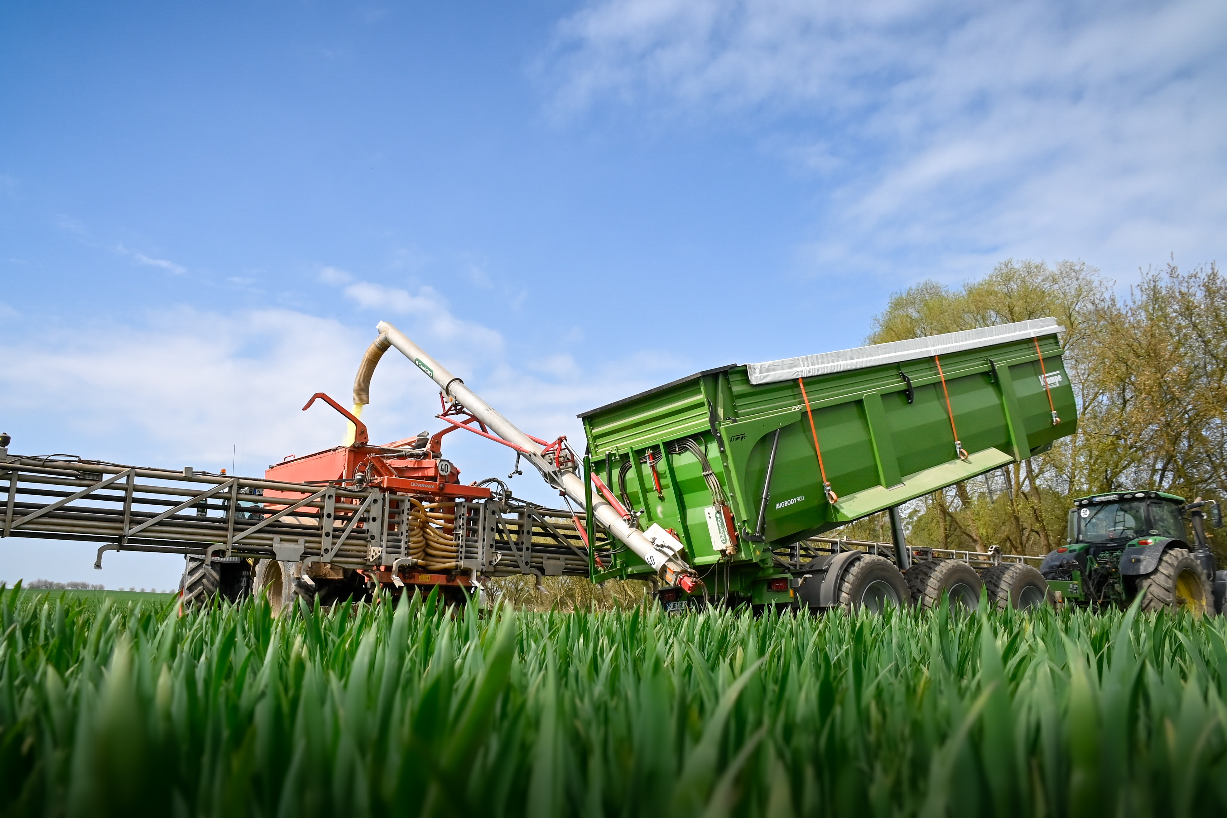 Bildbeschreibungstext